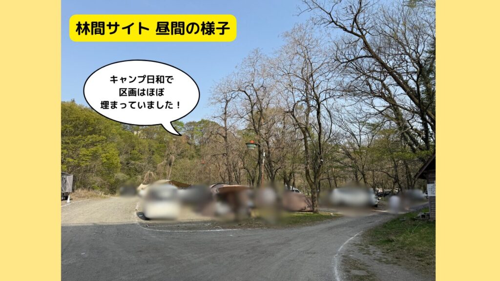 林間サイト昼間の様子:キャンプ日和だったので区画はほぼ埋まっていました。