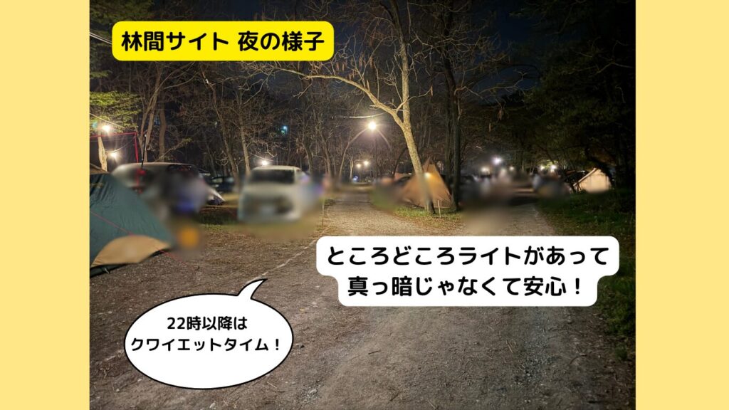 林間サイト夜の様子 ところどころライトがあって真っ暗じゃないから安心!22時以降はクワイエットタイムです。