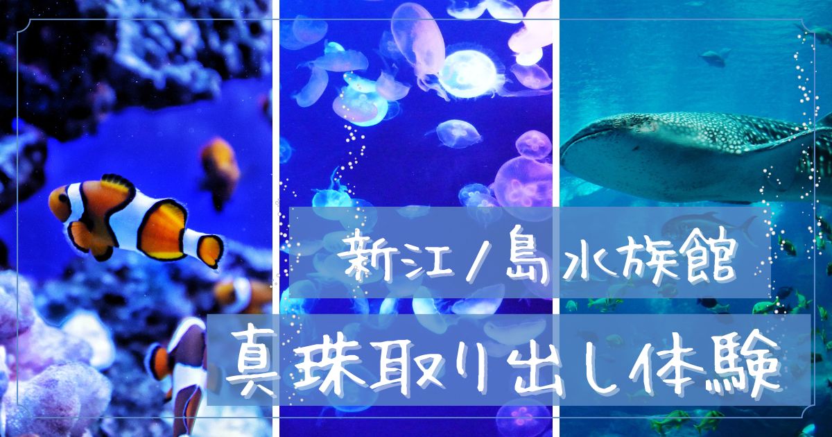 新江ノ島水族館 真珠取り出し体験
