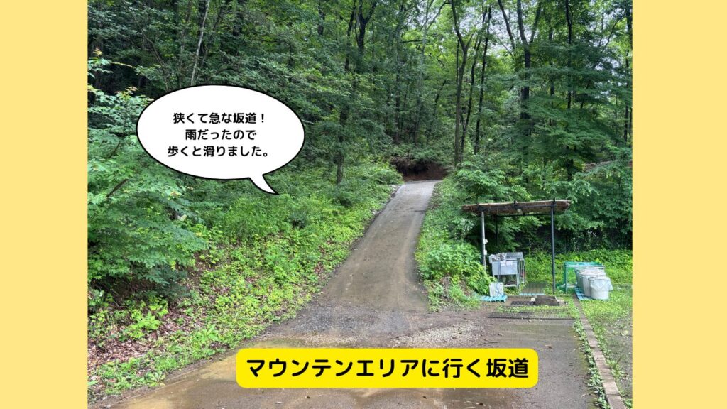 マウンテンエリアに行く坂道
